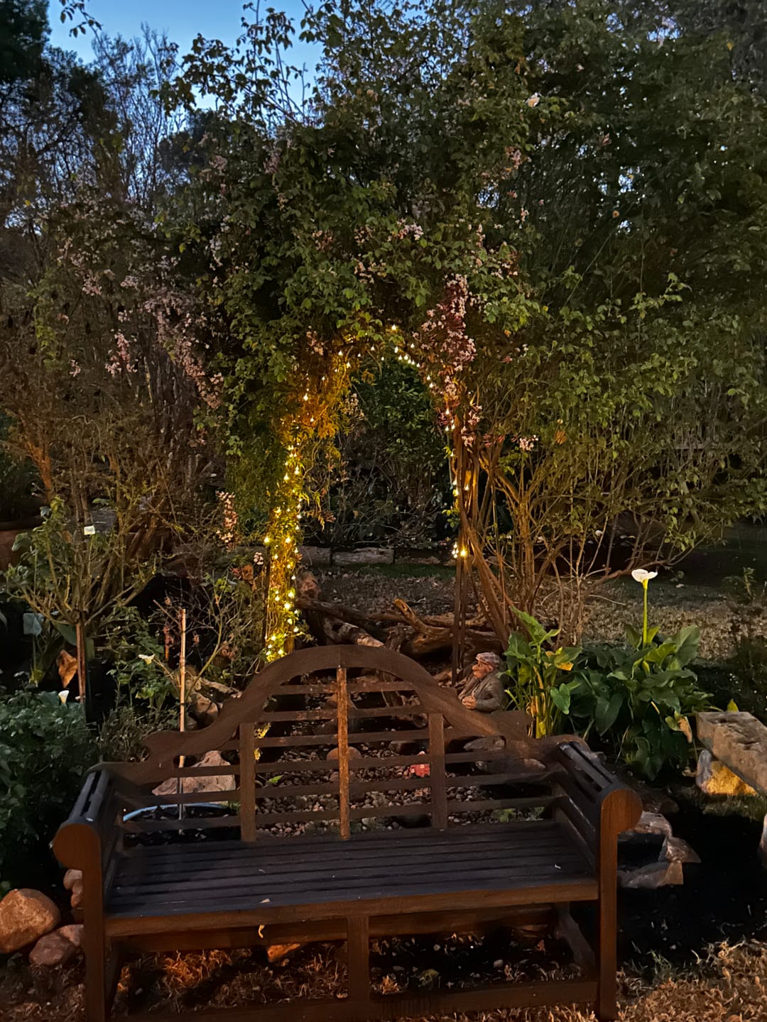 Customer photo review of Black String Solar Fairy Lights