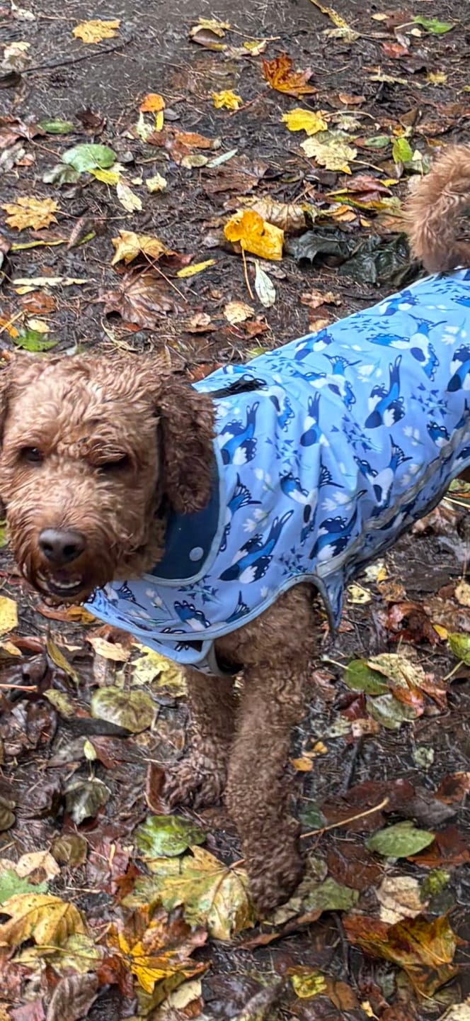 Customer photo review of Rain Jacket - Two For Joy