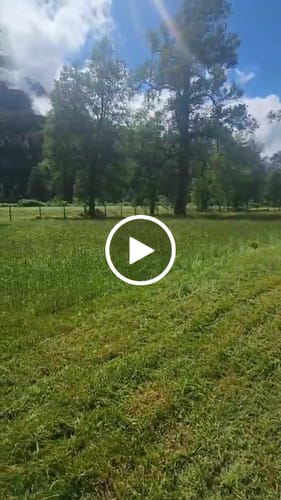 Customer video review of Cortadora de Pasto 5.5HP Autopropulsada a Bencina van Beek