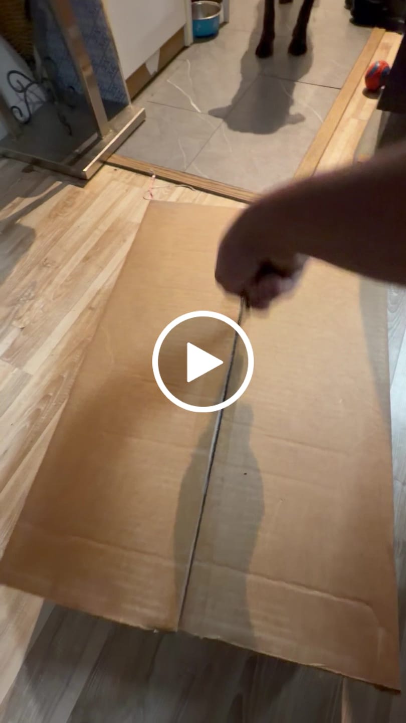 Customer video review of Horizon Taiga - Nourriture pour chien économique 35 lbs