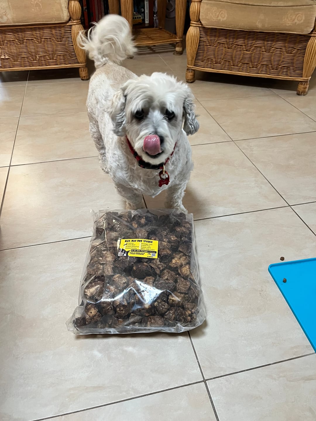 Customer photo review of Aussie Beef Puffs (High value treats)