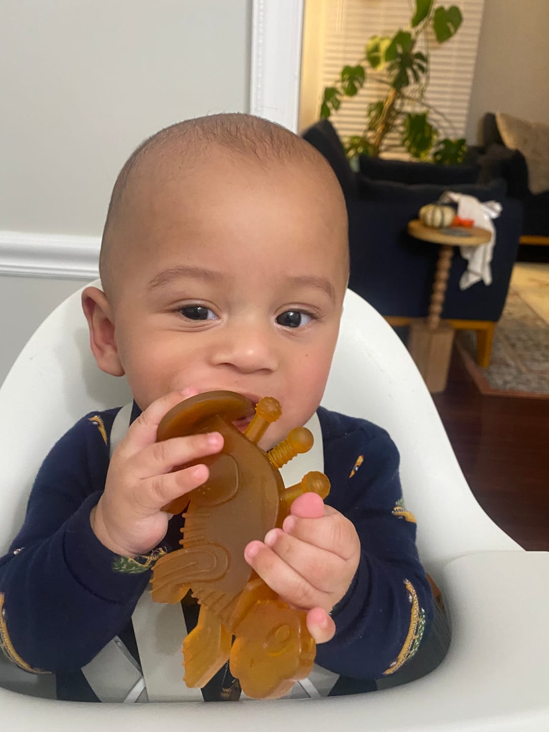 Customer photo review of Dibly - Green - Baltic Amber & Natural Rubber Dinosaur Teether with Toothbrush Tail