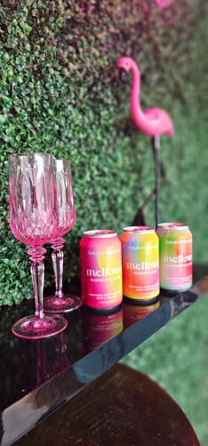 Customer photo review of Mixed 12 Pack