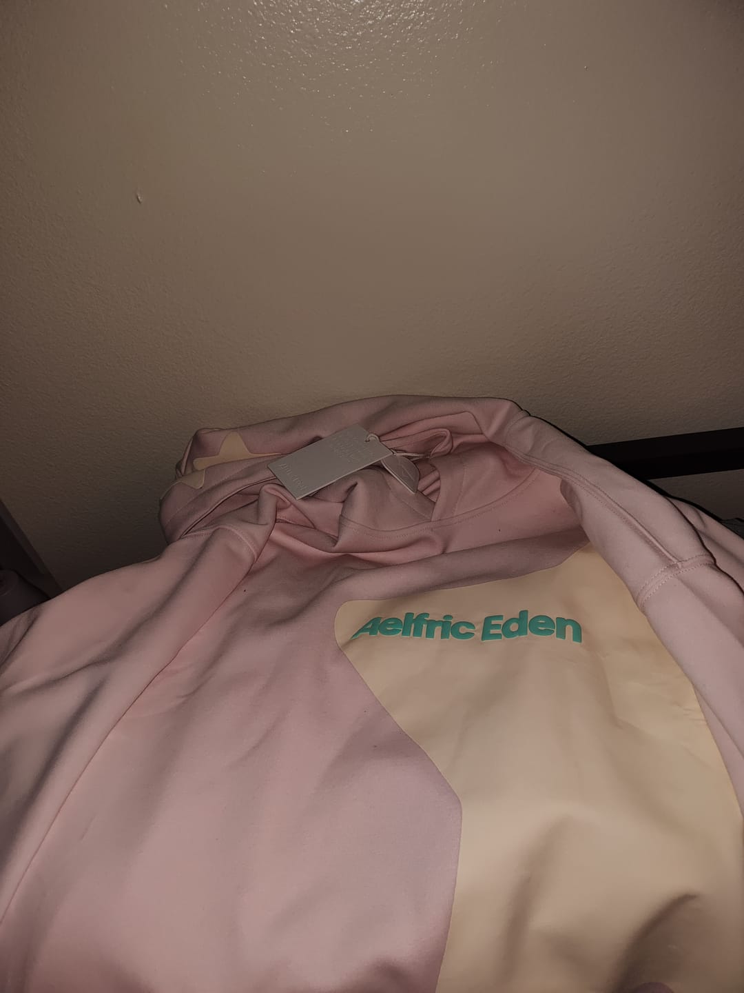 Customer photo review of Aelfric Eden Incomplete Eden Star Hoodie