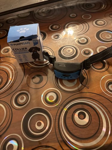 Customer photo review of Collier Anti Aboiement PuppySafe