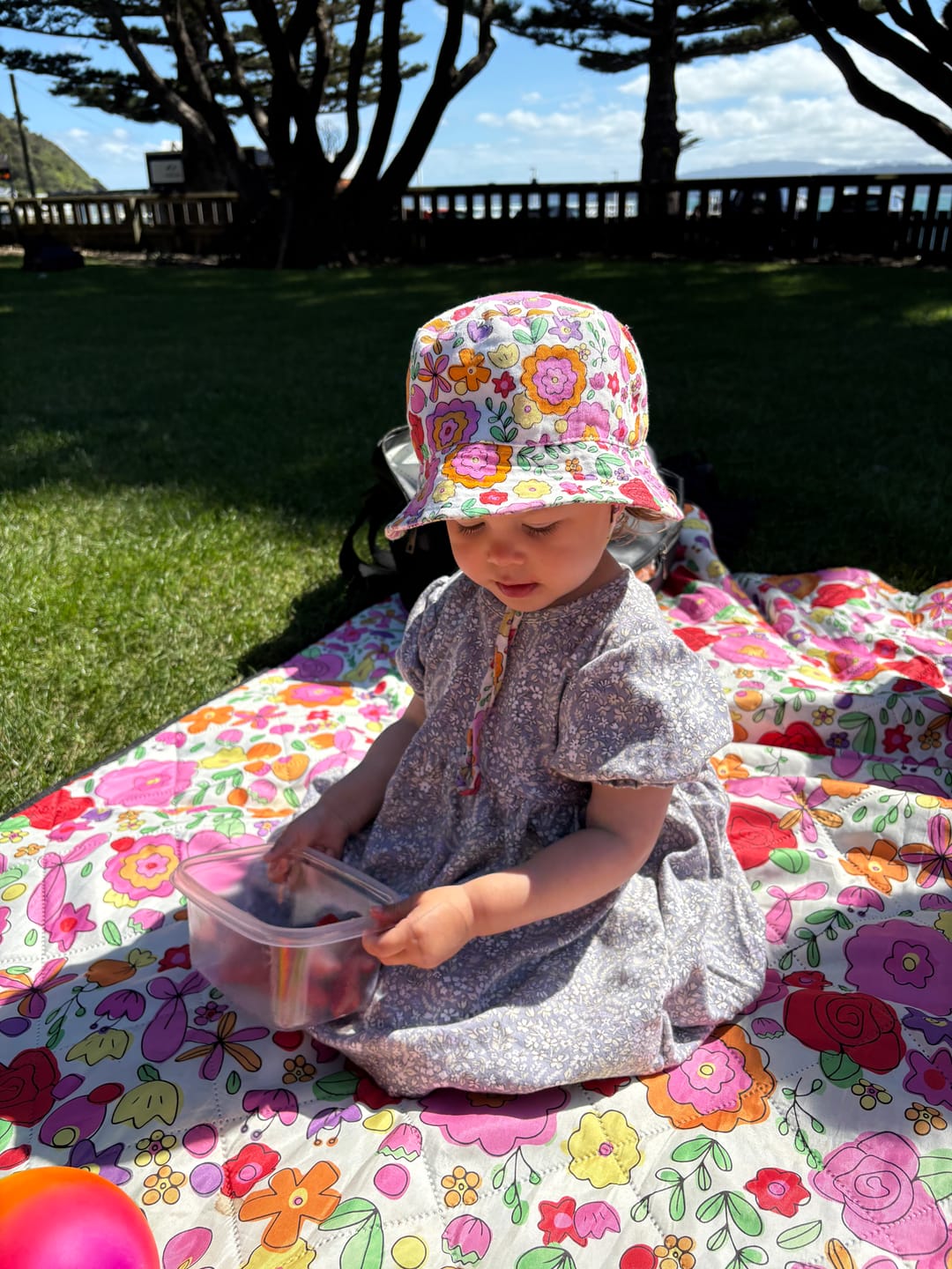 Customer photo review of Paloma picnic rug