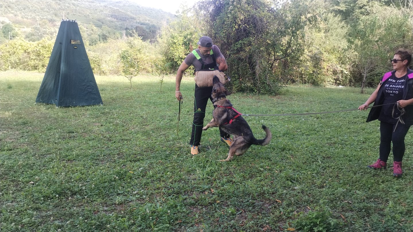 Customer photo review of LEGART POWER 60 cpr - Supporto Articolare Per Cani