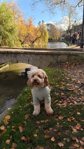 Customer photo review of Matcha | The Capsule Fleece Bodysuit