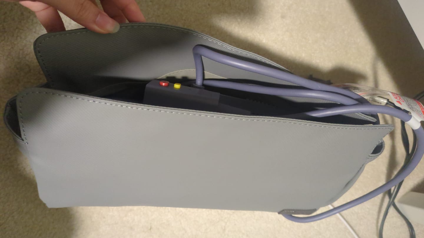 Customer photo review of Laifen Storage Bag