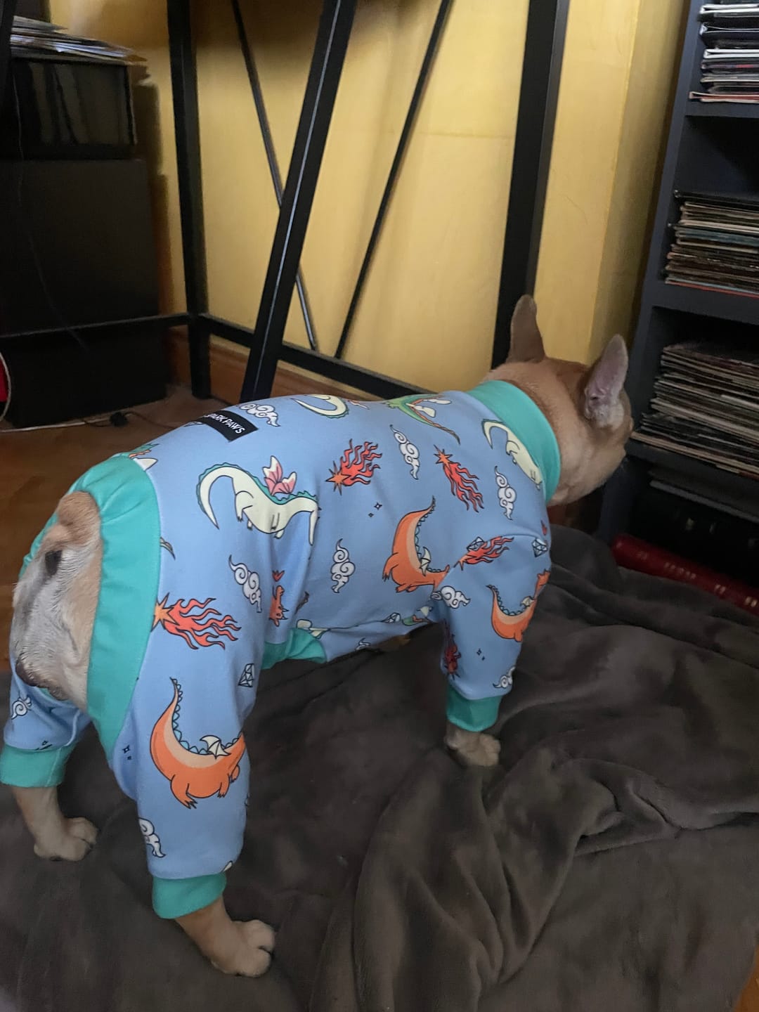 Customer photo review of Dog Pajama - Dragons