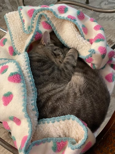 Customer photo review of Strawberry Puff Blanket