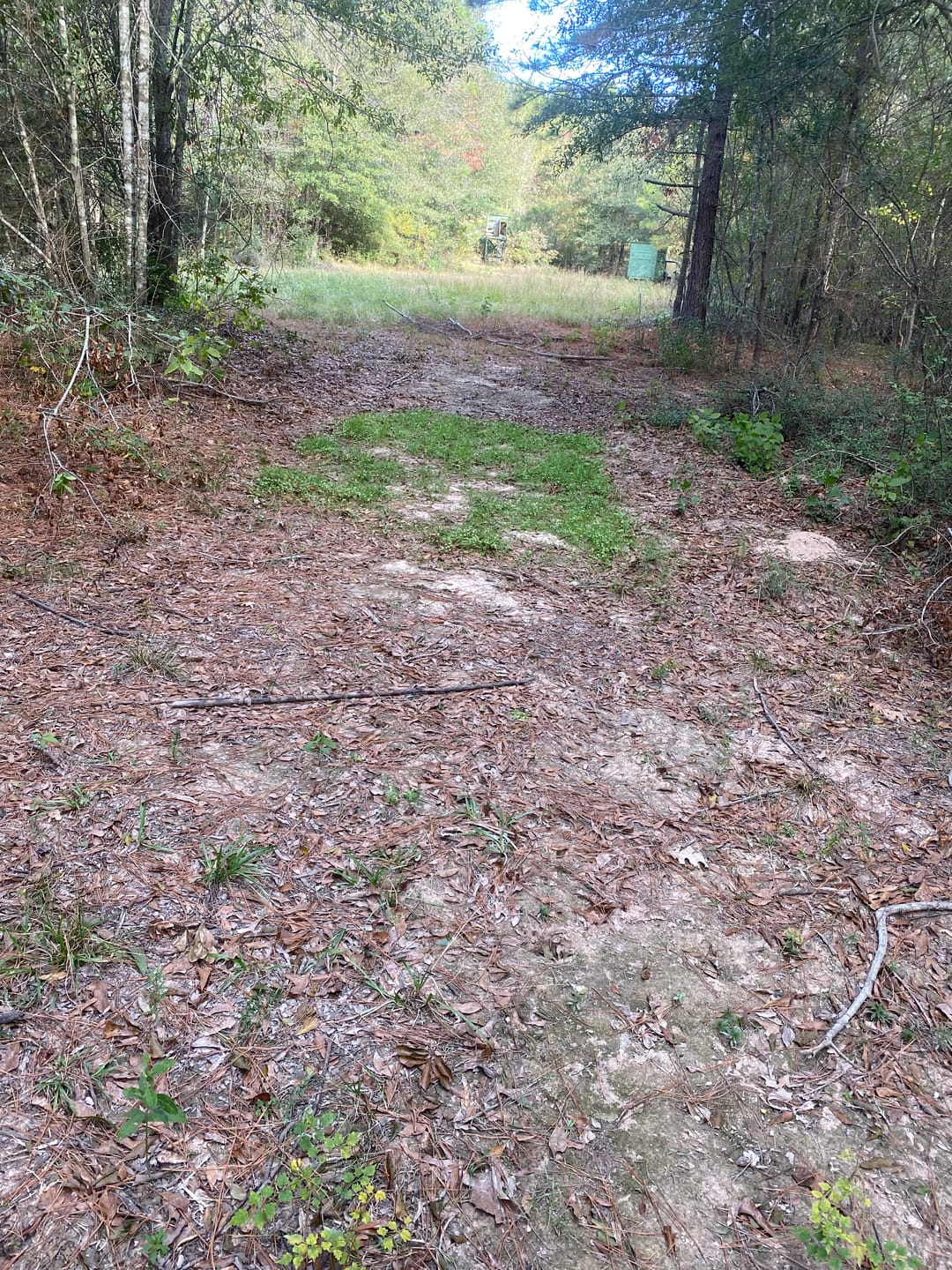 Customer photo review of No Plow No Problem