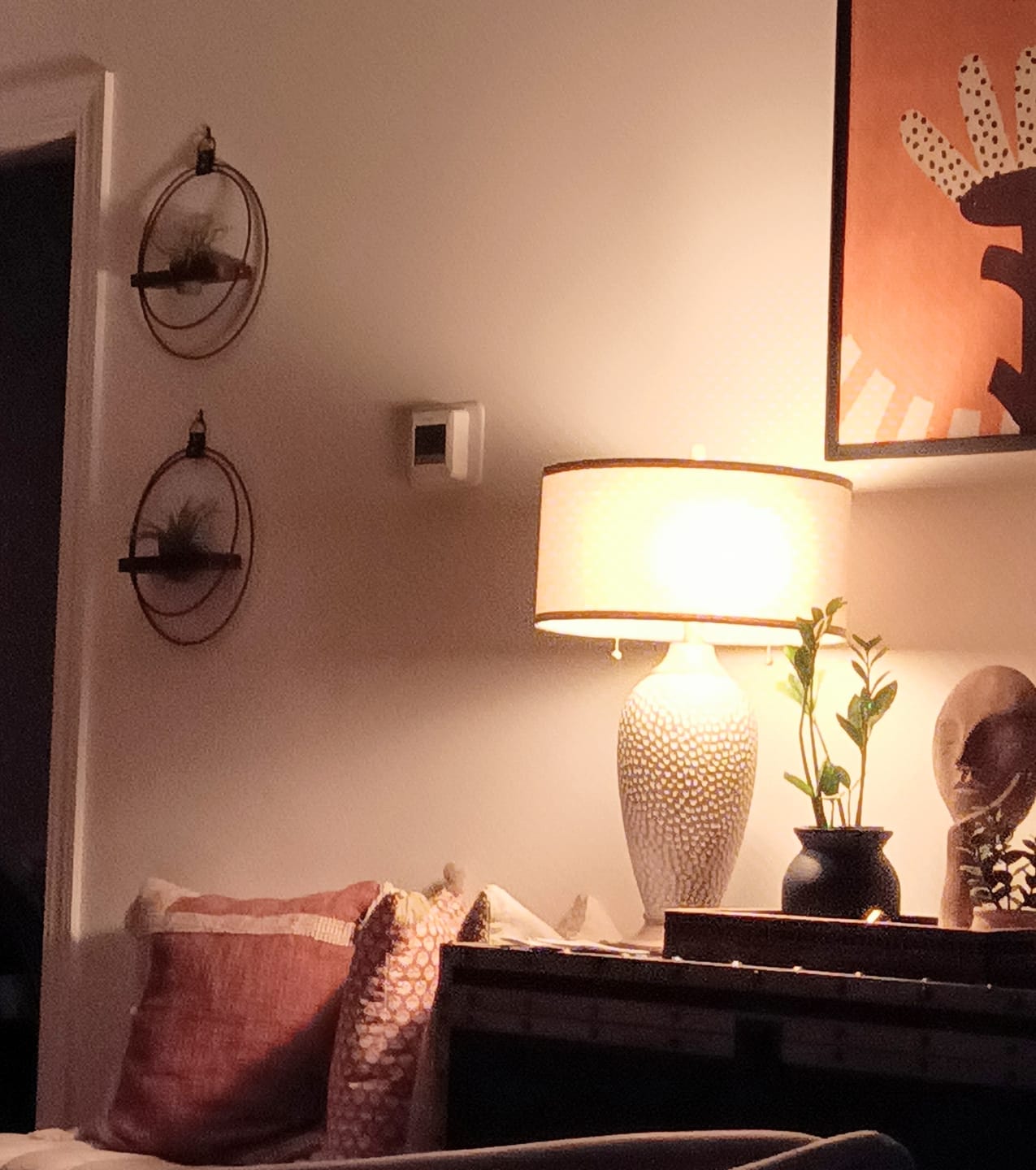 Customer photo review of Air Plant Shelf + Pot Duo