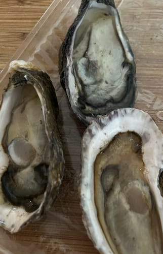 Customer photo review of Fresh NZ Oysters (Half-Shell) 6 Pieces