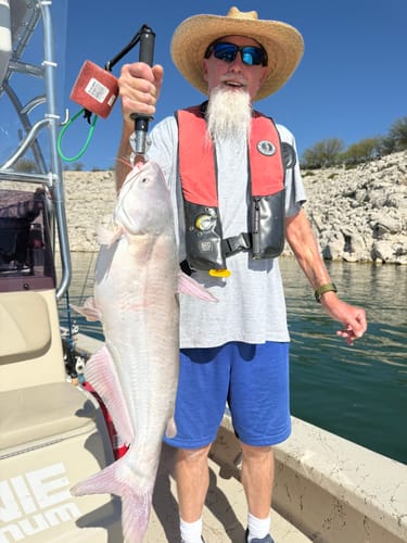 Customer photo review of Waterloo Salinity