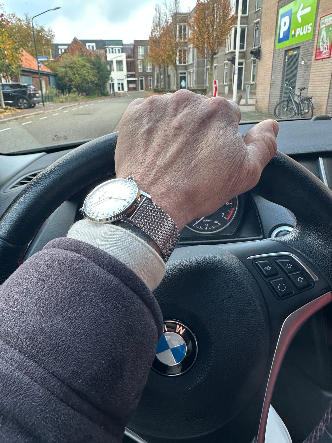 Customer photo review of First Season Silver White with Silver Mesh