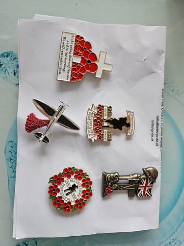 Andrew review of Spitfire Falling Poppies Brooch image 1 out of 2