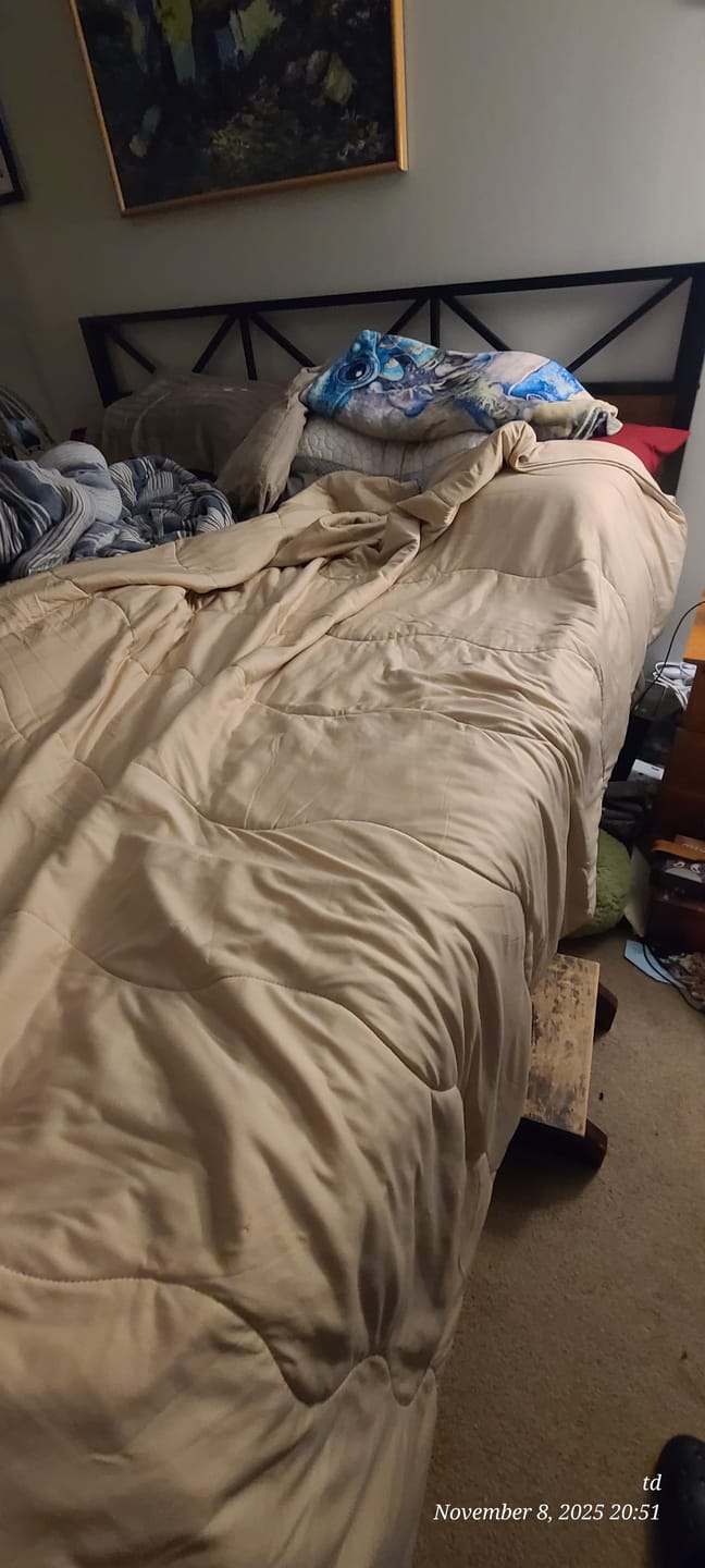 Customer photo review of The Ice Blanket