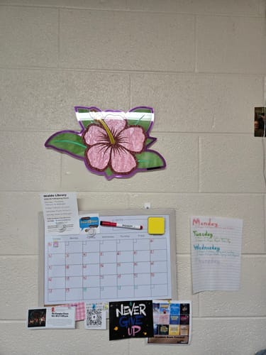Customer photo review of Medium Hibiscus Mixed Acrylic Wall Art Sample