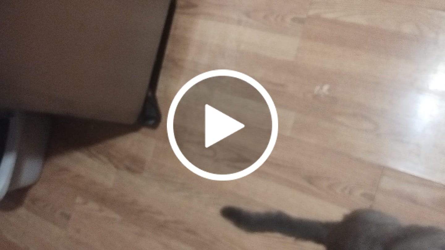Customer video review of GCP Flea & Tick Natural Defense for Cats - 100 Soft Chews