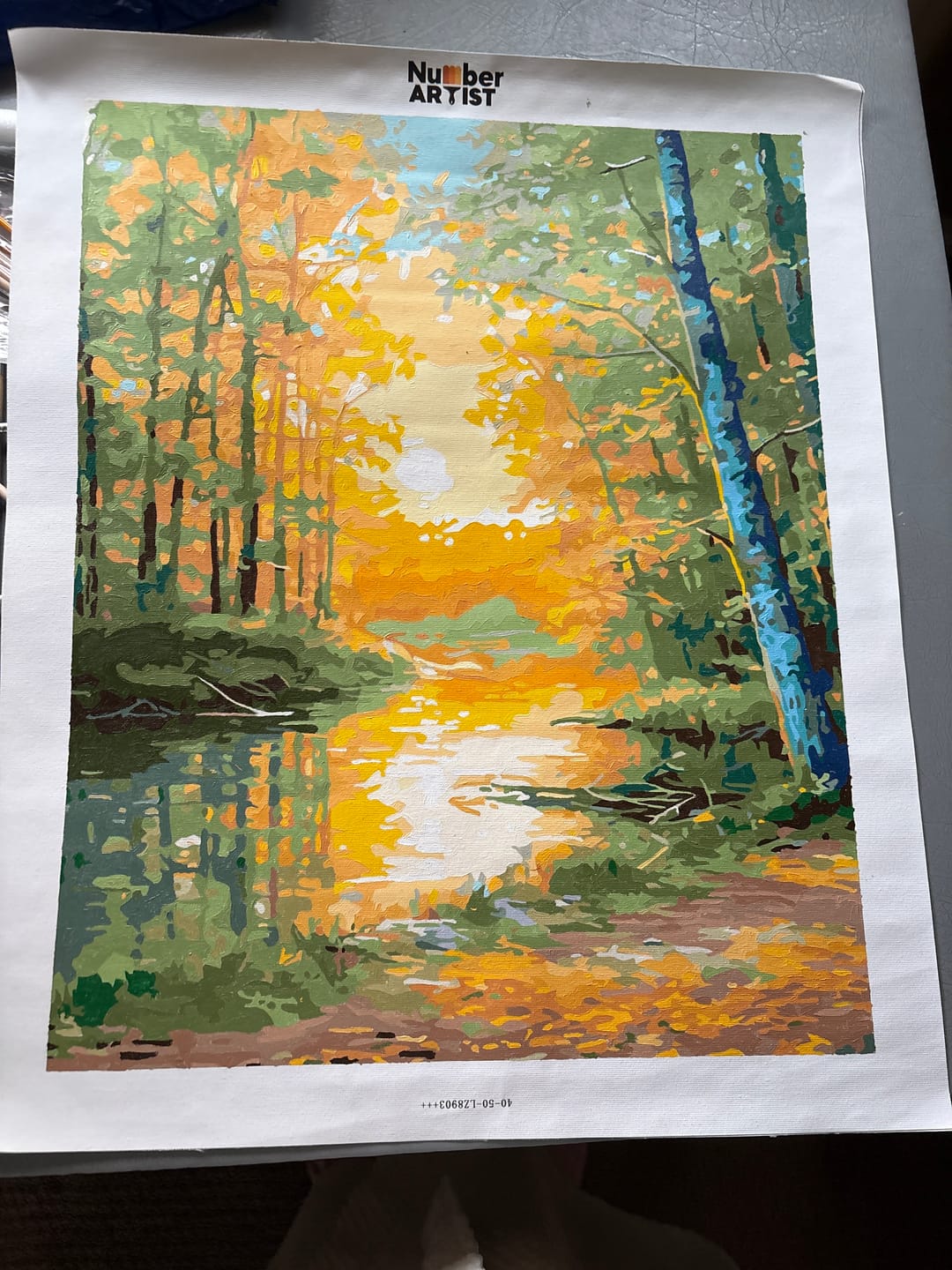 Customer photo review of Autumnal Reflections