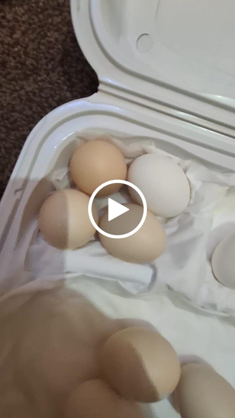 Customer video review of Pasture raised Eggs 24pcs