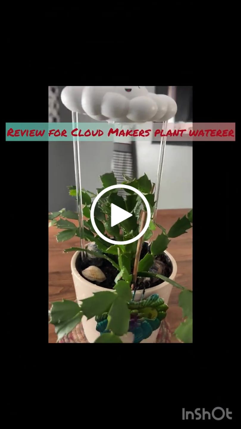 Customer video review of Chelsea Series 001
