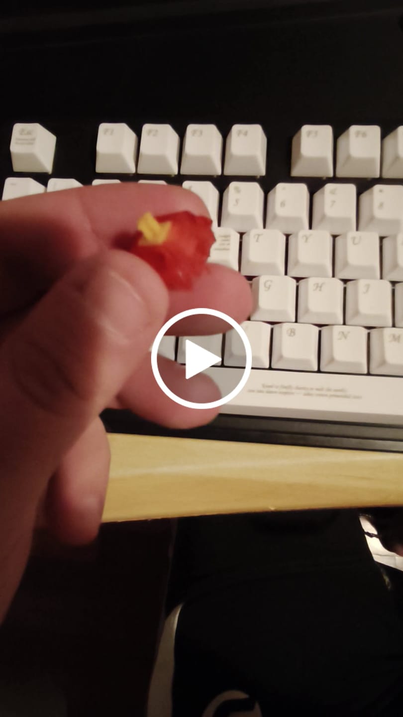 Customer video review of KEYGEEK Y2 LINEAR SWITCH FACTORY LUBED (10PCS)