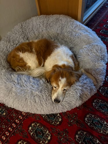 Customer photo review of CalmBed - Motverkar stress & hjälper mot ångest