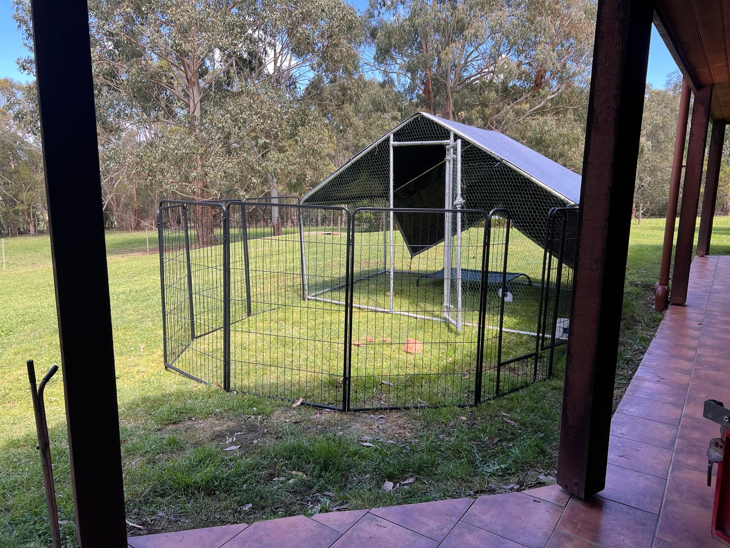 Customer photo review of 8 Panel Pet Dog Playpen