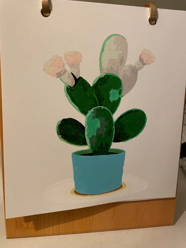 Customer photo review of 2026 Paint by Numbers desk Calendar | Plants Edition
