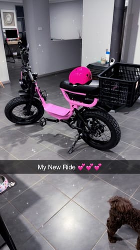 Customer photo review of Basil Crate