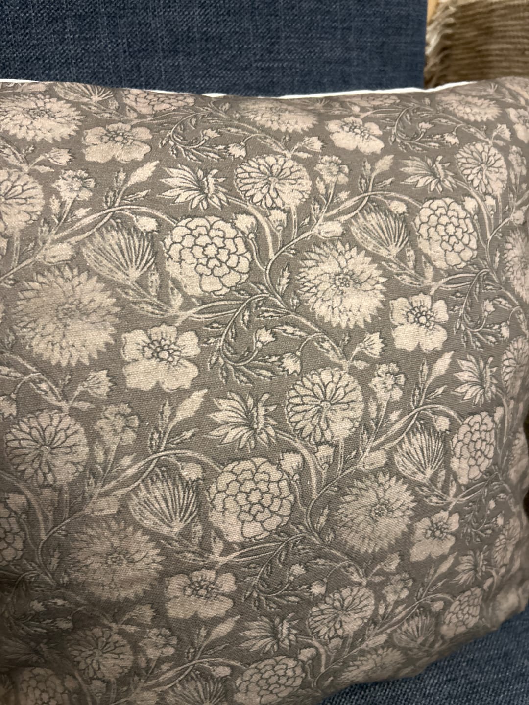 Customer photo review of Gracie - 18" | 22"