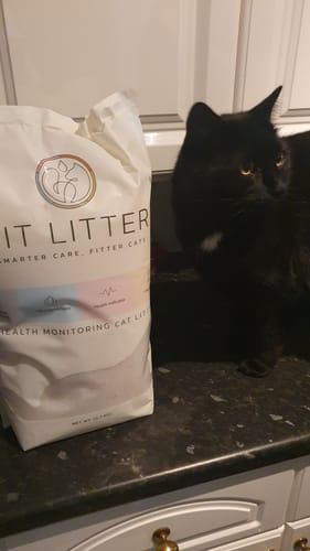 Customer photo review of 3 month supply - 6 Cats