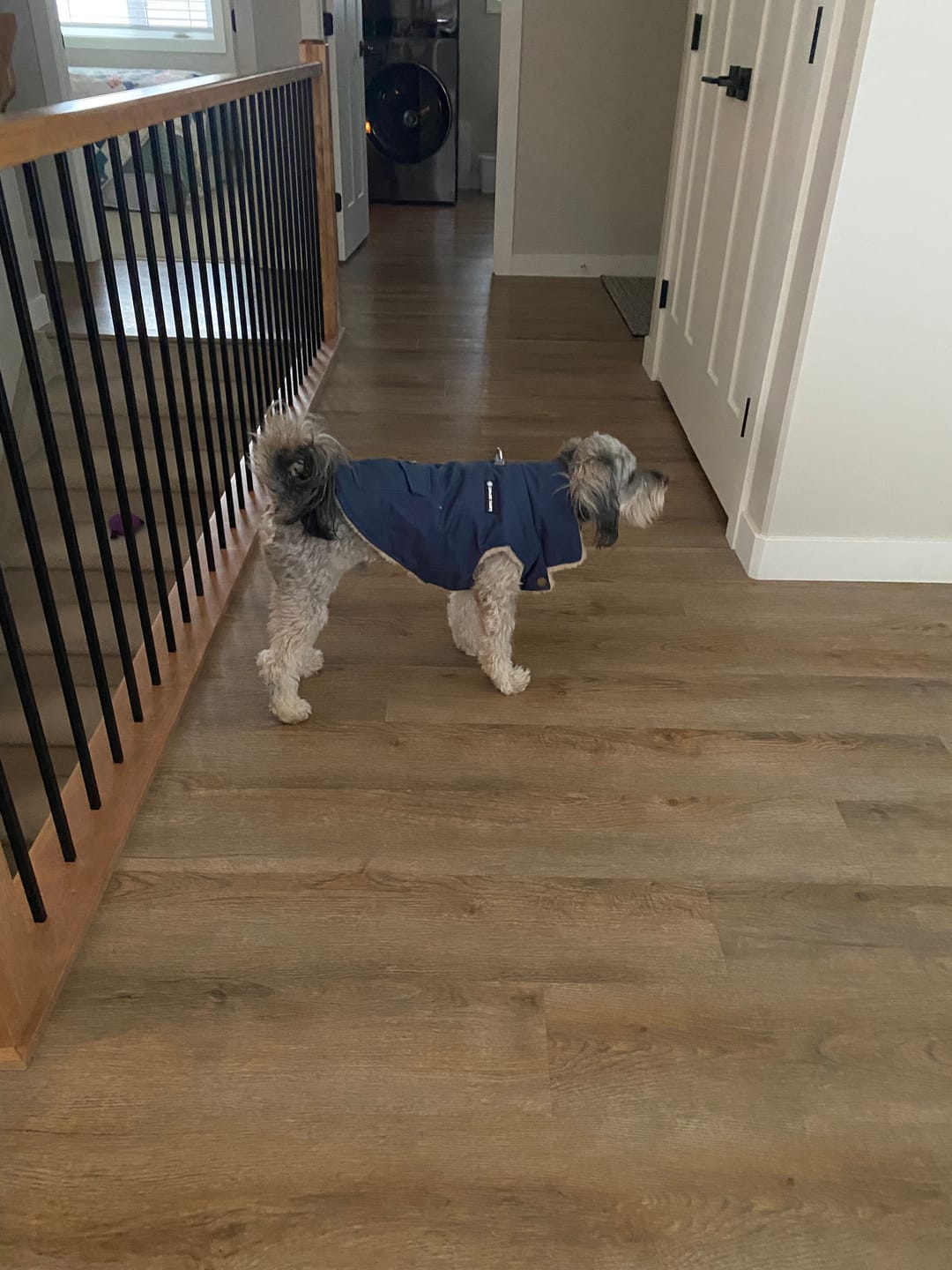Customer photo review of Workdog Insulated Utility Jacket - Navy