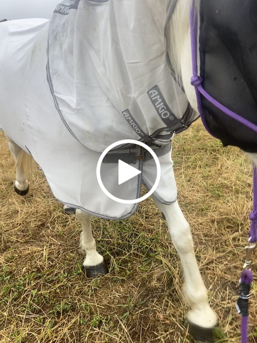 Customer video review of Amigo Bug Rug XL Plus