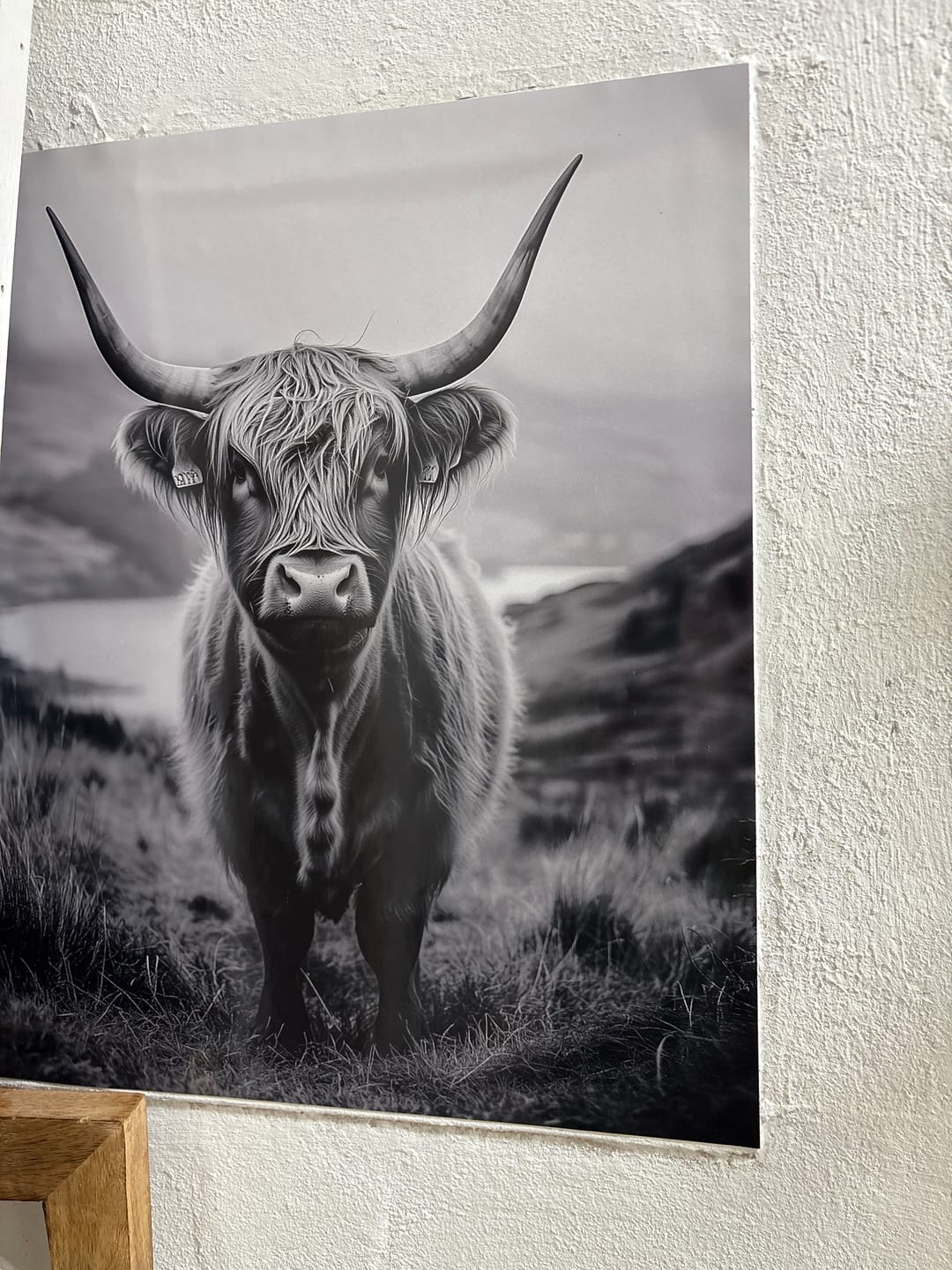 Customer photo review of Tiere: Highland Spirit