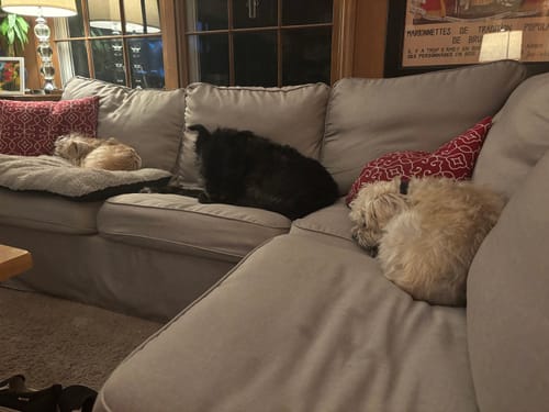 Customer photo review of Ektorp 2+2 Corner Sofa Cover, 4 Seat Sectional Sofa Cover