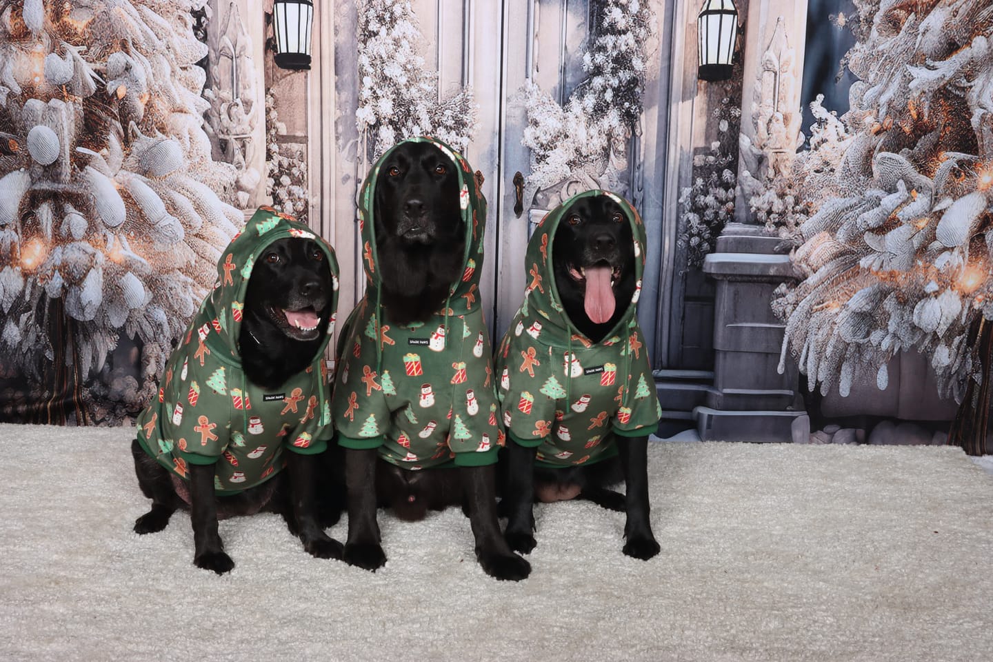 Customer photo review of Christmas Dog Hoodies