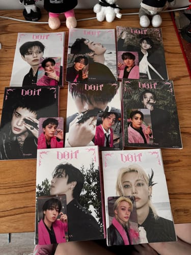 Customer photo review of STRAY KIDS - DO IT SKZ IT TAPE ALBUM MUSICPLANT GIFT ACCORDION VER SET