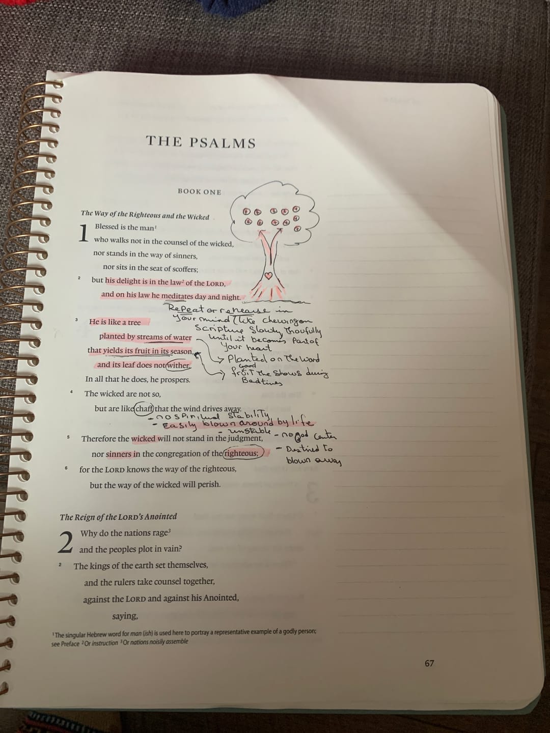 Customer photo review of Spiral Bible™ Highlighter Pack