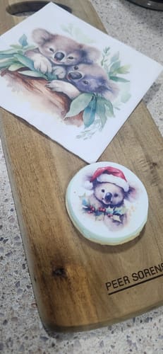 Customer photo review of Australian Animals Christmas Set –  Pre-cut - Edible Icing Images