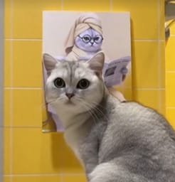 Customer photo review of Artzuzu Custom Portrait For Pets - Bathroom Scholar