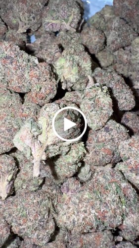 Customer video review of Jolly Ranchers - Bulk - Indica