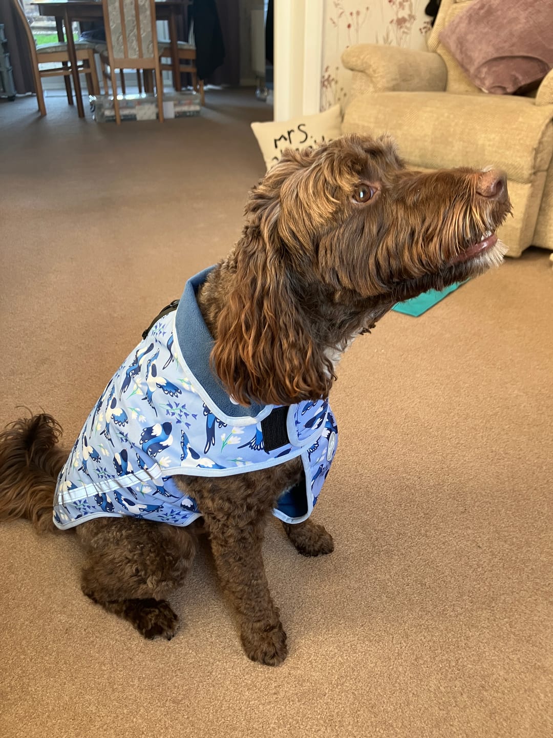 Customer photo review of Rain Jacket - Two For Joy