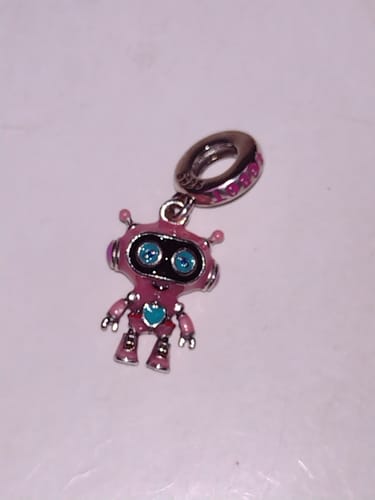 Customer photo review of Charm Robot Rosa
