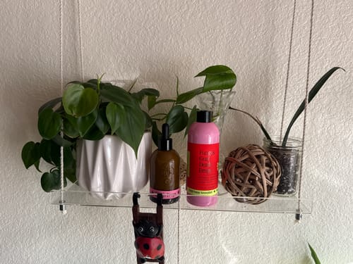 Customer photo review of Fungus Gnat Death Drops