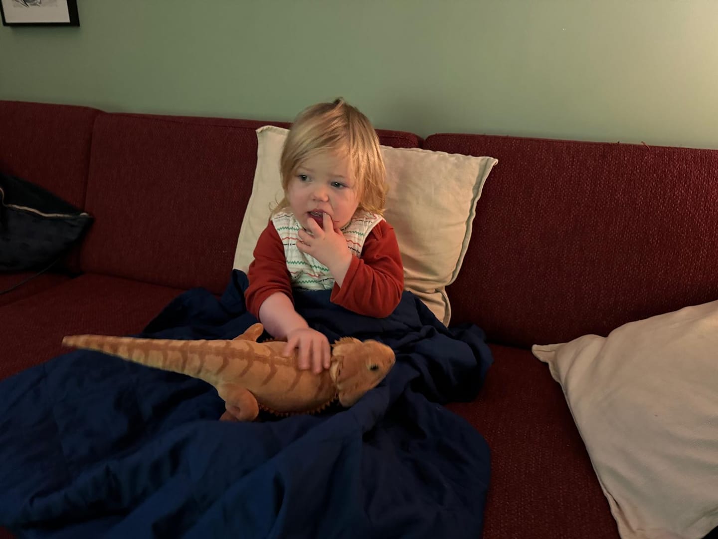 Customer photo review of Bearded Dragon Lizard Soft Stuffed Plush Toy