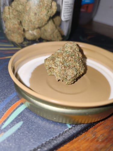 Customer photo review of Tangie THCA Flower