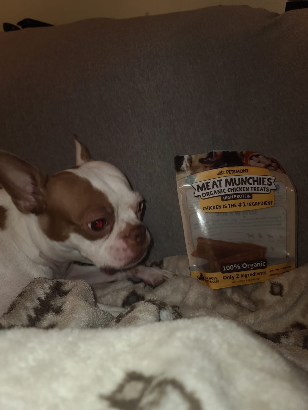 Customer photo review of Freeze-Dried Beef Liver Dog Treats | Single Ingredient | Petsmont Hearty Bites